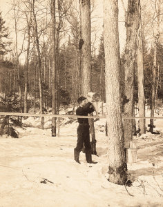 Sap pipe line for the Horse Shoe Forestry Co., St. Lawrence, N.Y.  G.W. Baldwin, 1901. LOC: 2020632559.