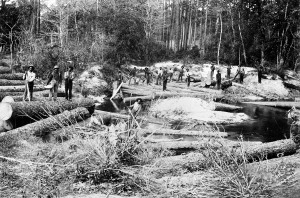 Rafting pine logs, Keystone Lumber Company, PA, 1901. Detroit Publishing Co. LOC: 2016812166. 
