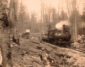 Train hauling maple sugar sap to St. Lawrence, N.Y.  G.W. Baldwin, 1901.  LOC: 2021636200.