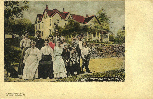 Pine Grove Cottage, 1905. Branning's Artino Card, NY.