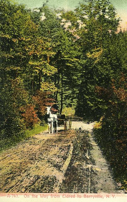 1908 On the Way from Eldred To Barryville, NY.