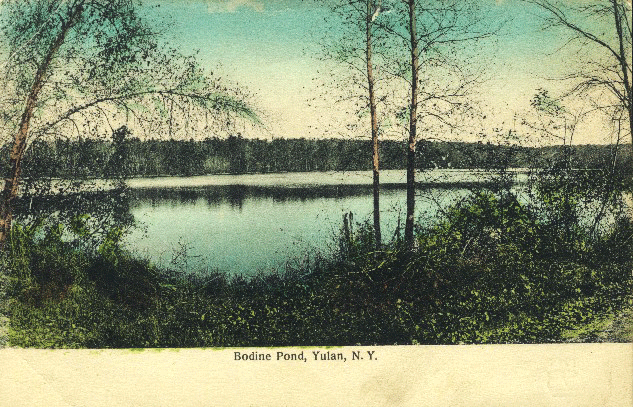 Bodine Pond, Yulan, NY, 1910.
