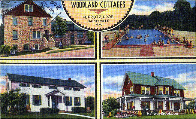 Woodland Cottage, 1953.