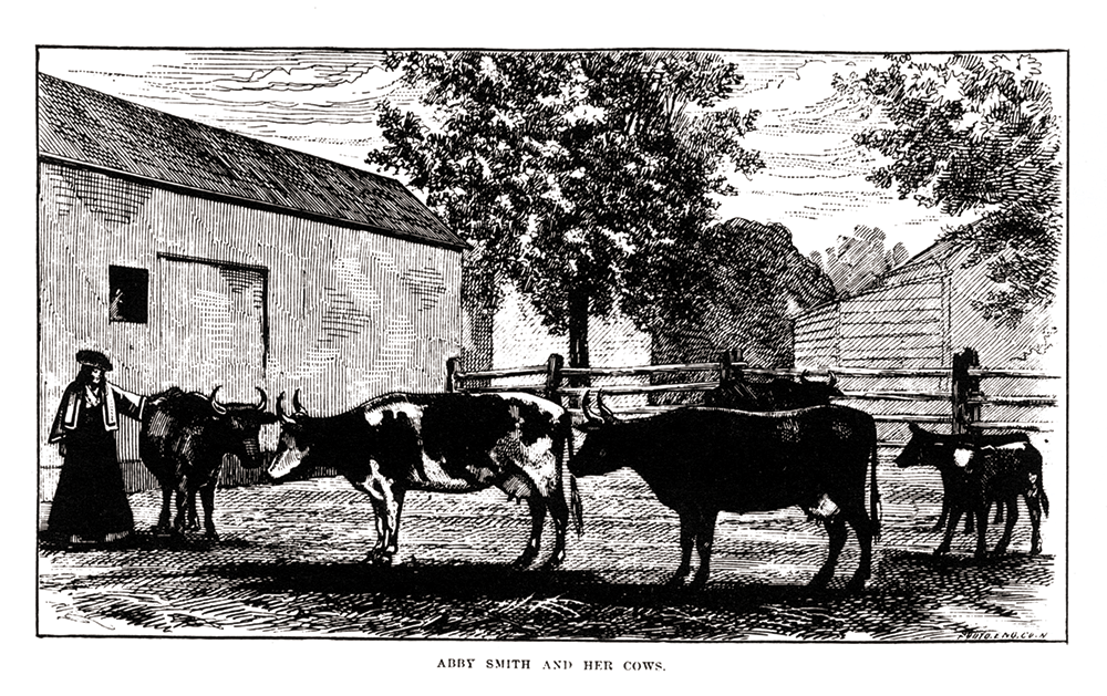 Frontispiece in Julia E. Smith’s book, Abby Smith and Her Cows.