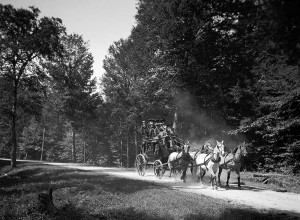 An Adirondack Stage. Detroit Photographic Co.; LOC 4a11238u.