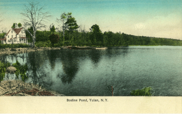 Bodine Pond Yulan, NY.