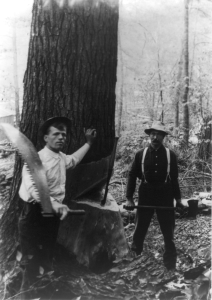 Lumberjacks at work, Norwich, PA,1890s. LOC: 2016650767.