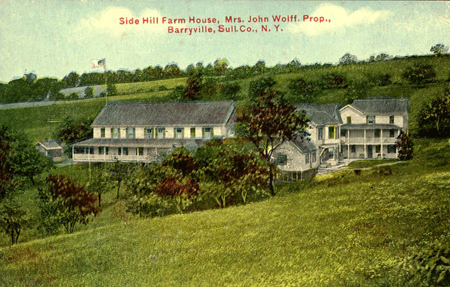 Side Hill Farm House, Mrs. John Wolff, Proprietor, Barryville.