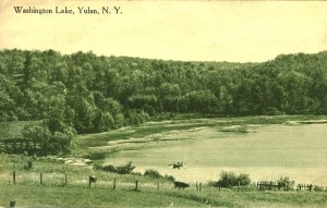 Washington Lake Postcard courtesy of Kevin M.