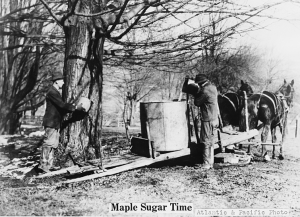 Maple sugar time, 1915. Detroit Publishing Co. LOC: 4a20000 .