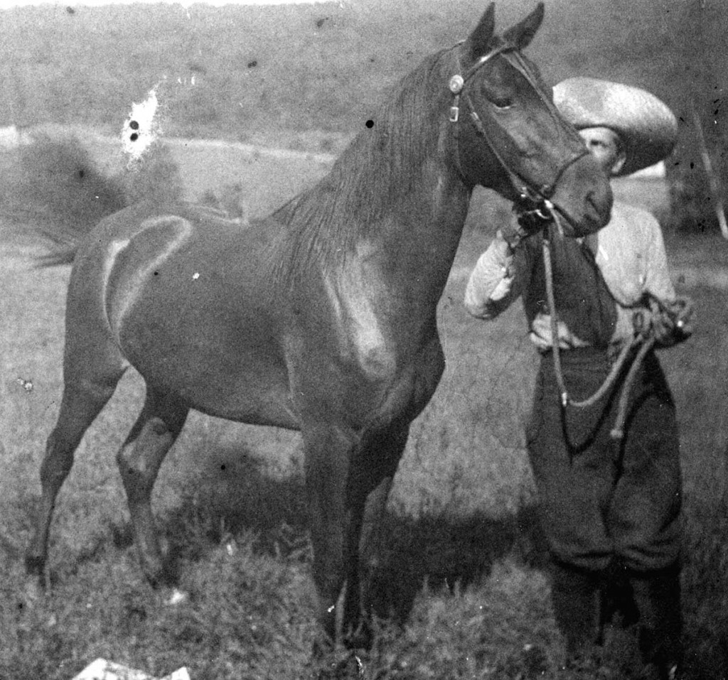 Lon Austin's brother Mort with horse in Kansas around 1880.